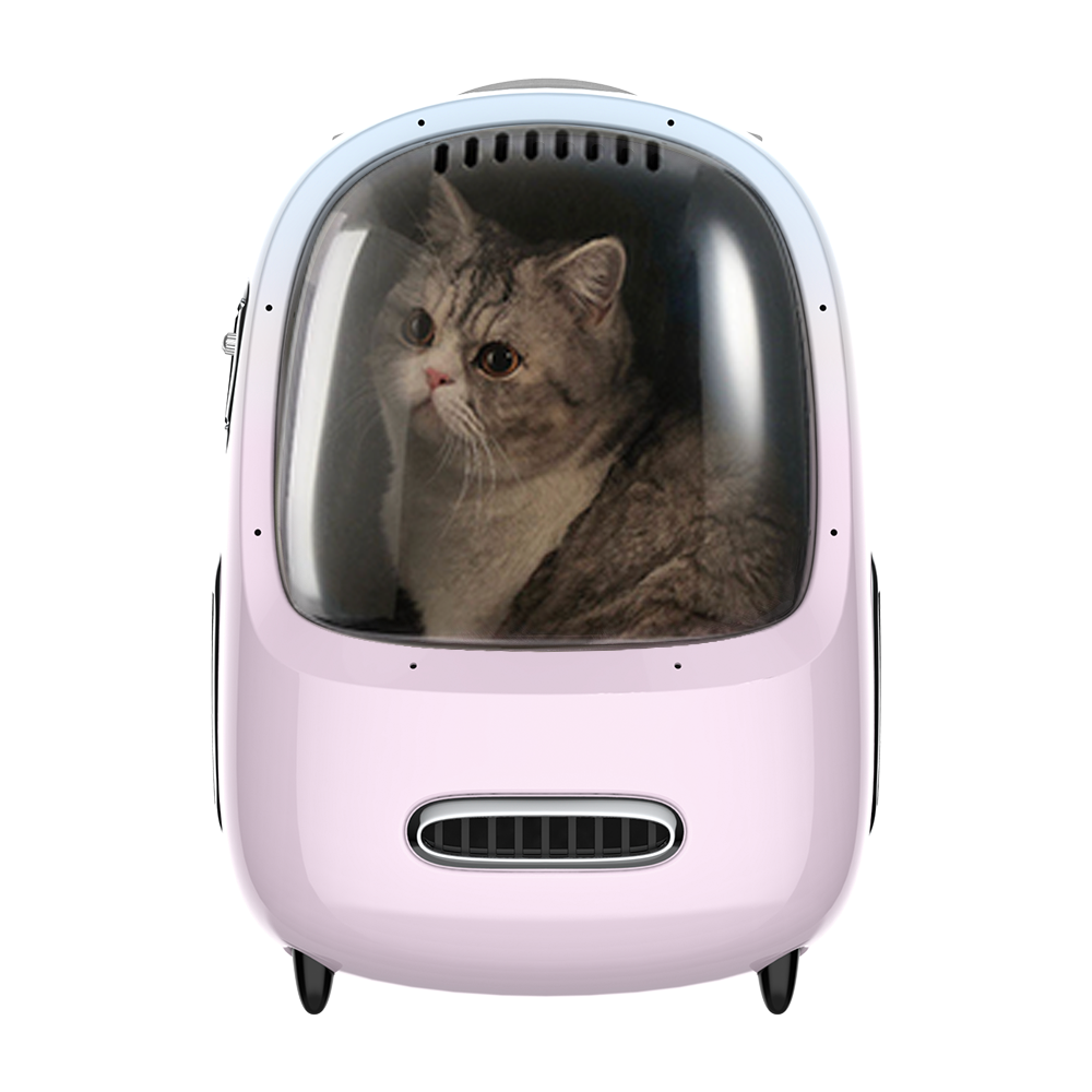 PetKit Breezy Dome 2 Smart Cat Backpack – Ventilated with Fan & Light, Airline Compliant