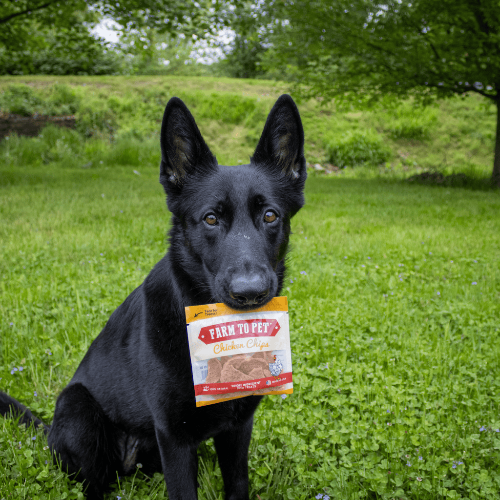 Chicken Chip Snack Pack Bundles
