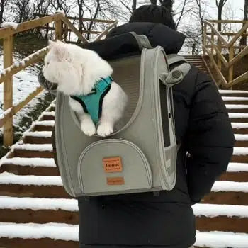 Ibiyaya Adventure Cat/Bunny/Puppy Carrier Backpack with Window, Large Airline Approved Cat Bag for Hiking & Travel. Best for both Kitten & Fat Cat