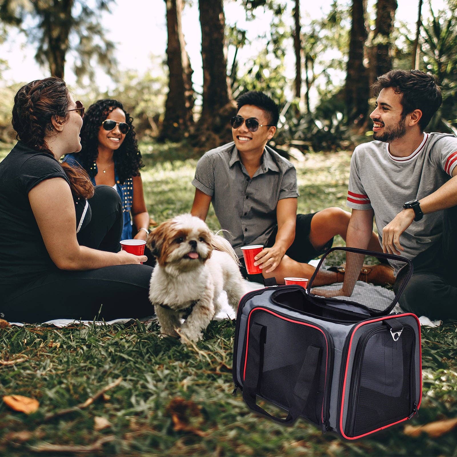 Jespet Soft-Sided Travel Small Dog & Cat Carrier