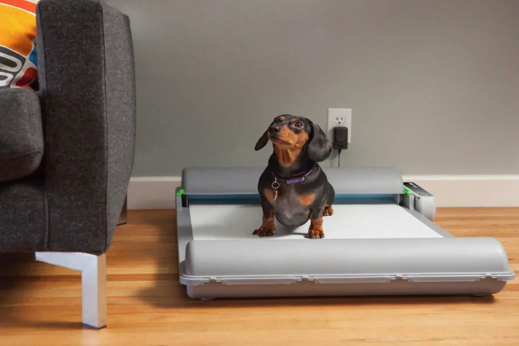 BrilliantPad Basic Automatic Dog Potty | Self-Cleaning Indoor Pad System