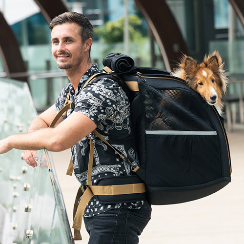 Ibiyaya Champion Large Dog/Cat Carrier Backpack with Window 3-in-1 Travel Backpack & Car Seat Booster