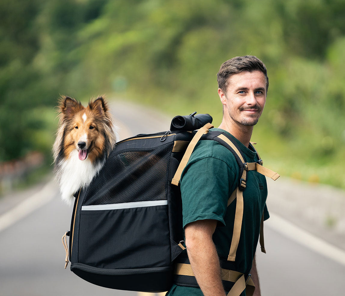 Ibiyaya Champion Large Dog/Cat Carrier Backpack with Window 3-in-1 Travel Backpack & Car Seat Booster