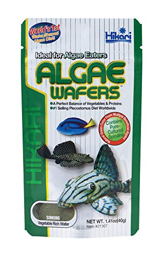 Hikari Algae Wafers - 1.41 oz