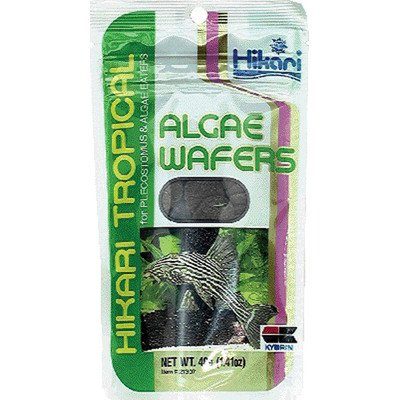 Hikari Algae Wafers - 2.89 oz