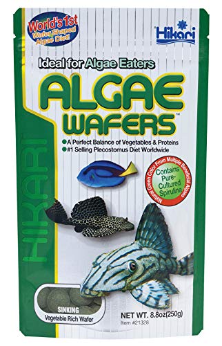 Hikari Algae Wafers - 8.8 oz