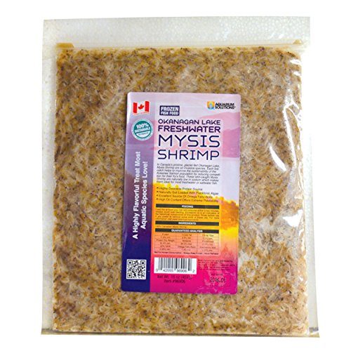 Hikari Bio-Pure Frozen Okanagan Lake Freshwater Mysis Shrimp - Flatpack - 40 oz