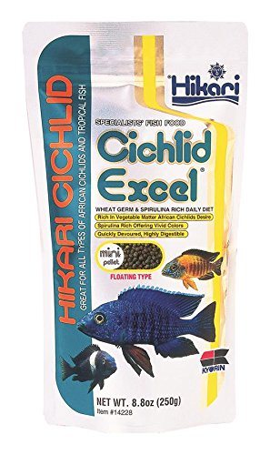 Hikari Cichlid Excel - Mini Pellets - 8.8 oz