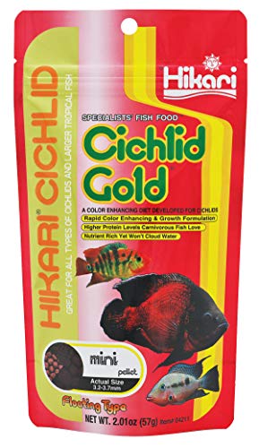 Hikari Cichlid Gold - Mini Pellets - 2 oz
