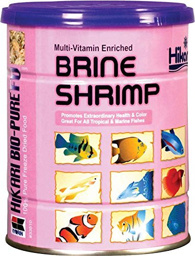 Hikari Freeze-Dried Brine Shrimp - Cubes - 1.76 oz