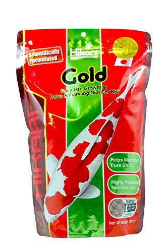 Hikari Gold - Large Pellet - 17.6 oz