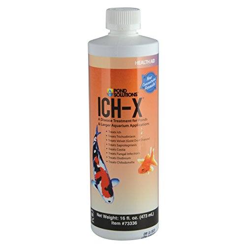 Hikari Ich-X Pond Treatment - 16 fl oz
