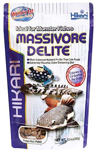 Hikari Massivore Delite - 13.4 oz