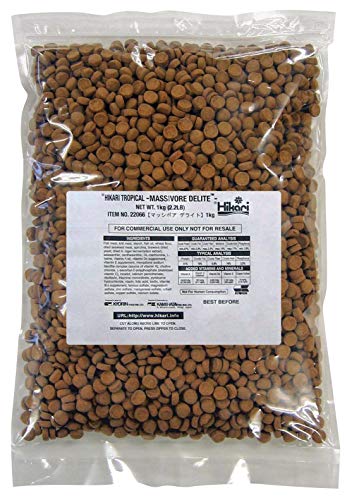 Hikari Massivore Delite - 2.2 lb