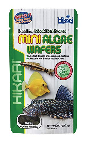 Hikari Mini Algae Wafers - 0.77 oz