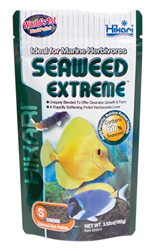Hikari Seaweed Extreme - Small Wafers - 3.52 oz