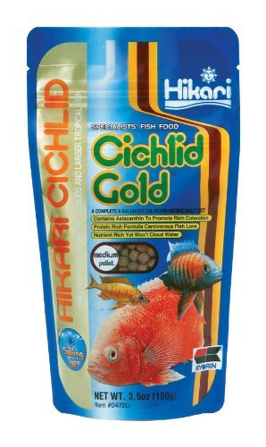 Hikari Sinking Cichlid Gold - Medium Pellets - 3.5 oz