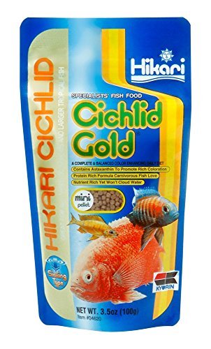 Hikari Sinking Cichlid Gold - Mini Pellets - 3.5 oz