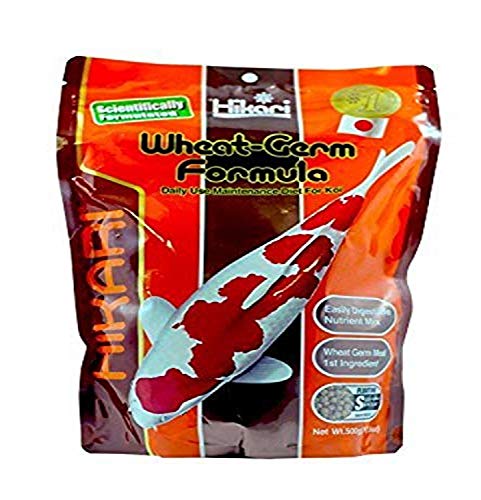 Hikari Wheat Germ - Mini Floating Pellets - 17.6 oz