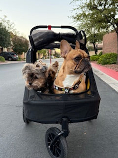 Ibiyaya Minika 3-in-1 Pet Stroller System with Foldable Dog Bicycle Trailer & Indoor-Outdoor Kennel