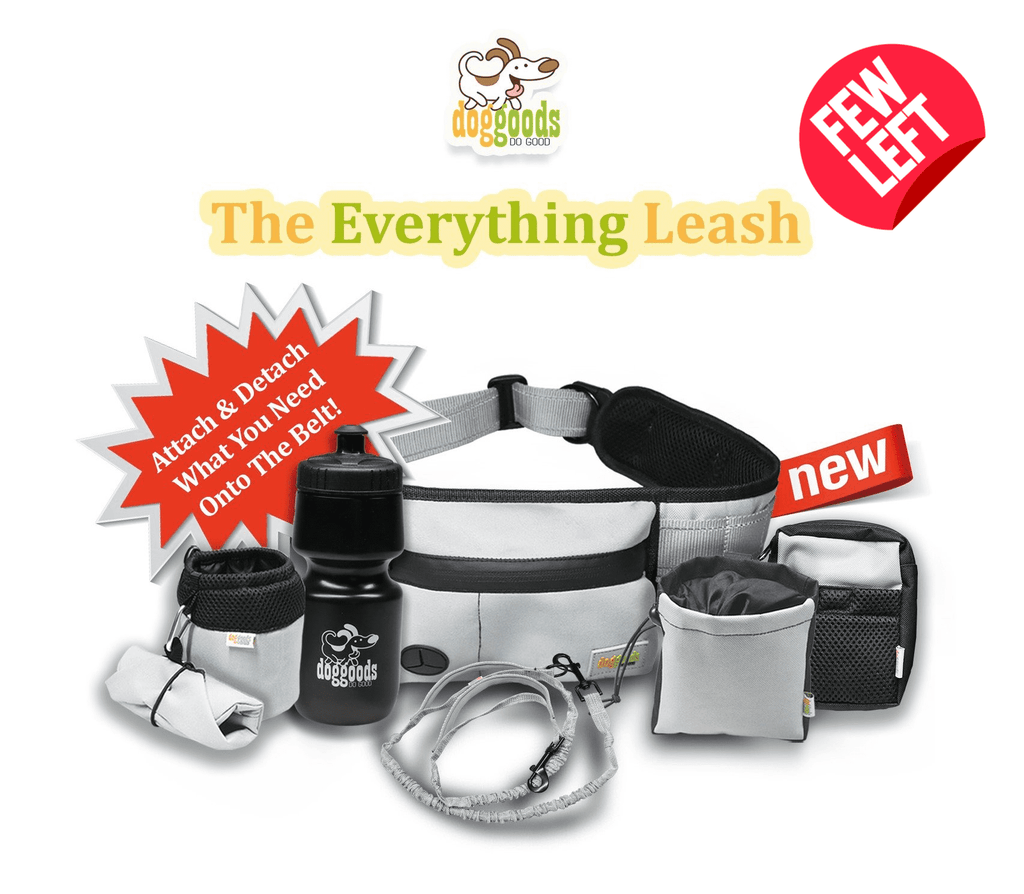 Dog Leash Fanny Pack (The Everything Leash) by DogGoods ™