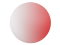 6 Base Single Vision Trivex Rx Lenses