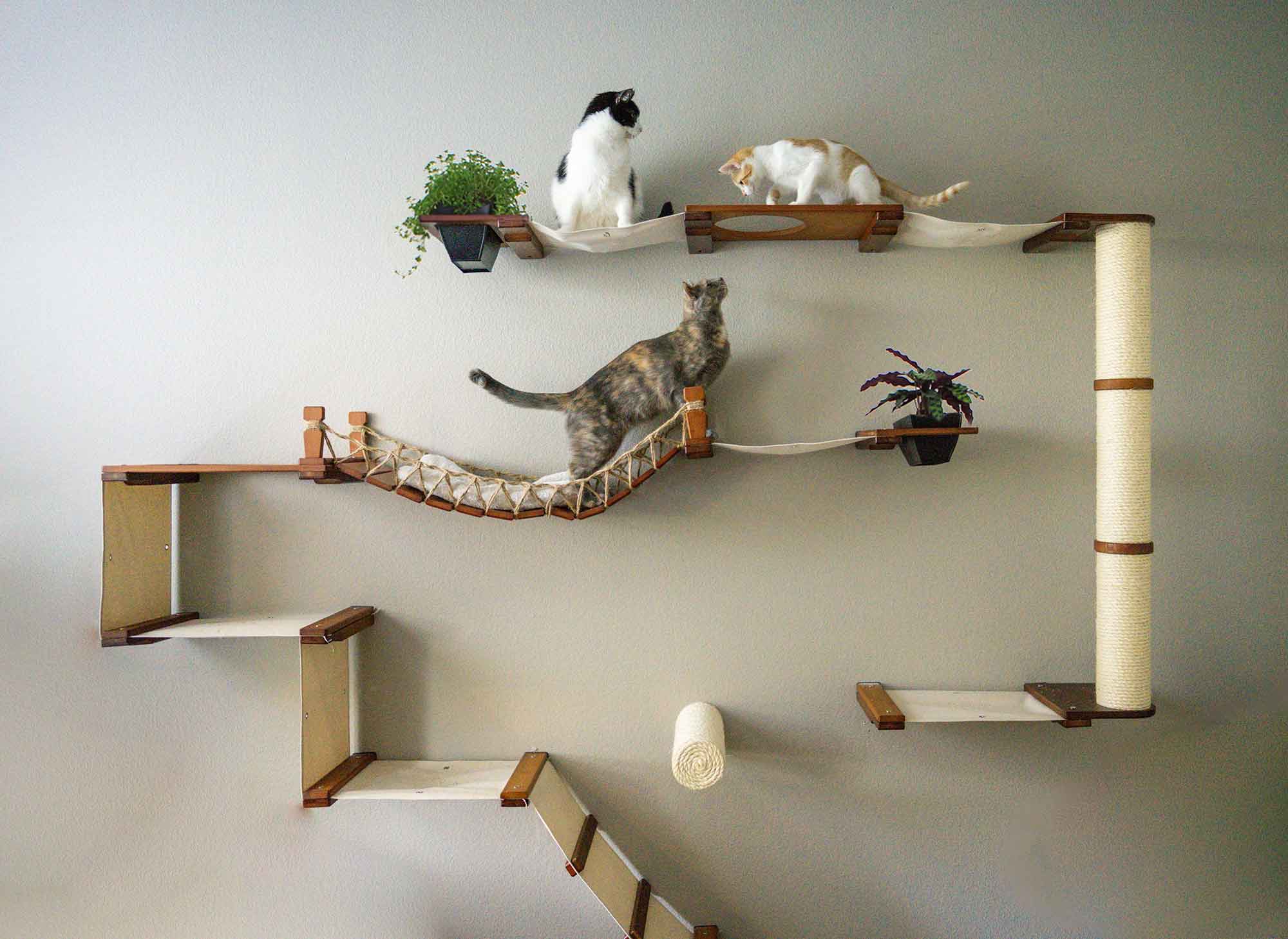 The Juggernaut - Indoor Cat Playground for Wall by Catastrophic Creations