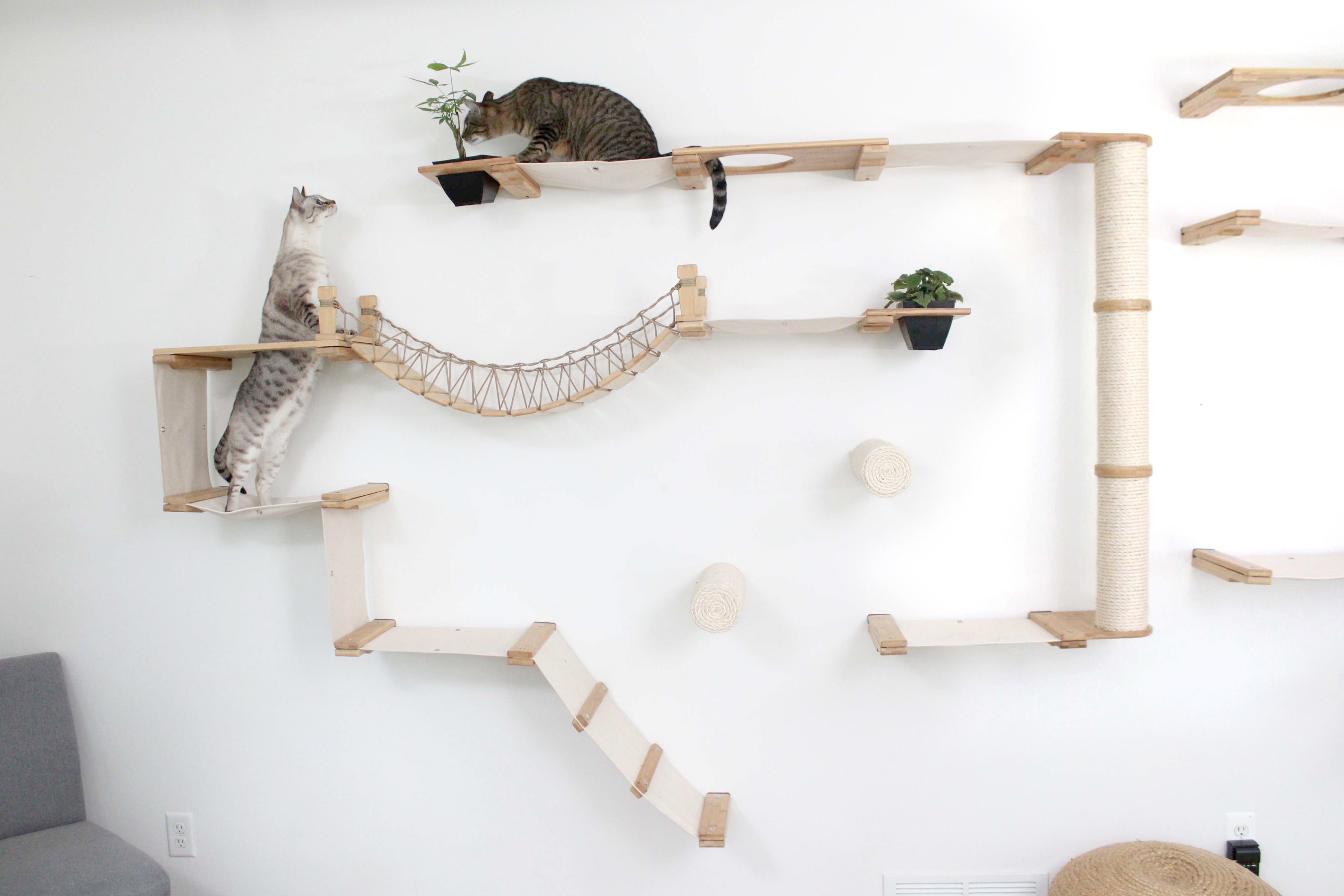 The Juggernaut - Indoor Cat Playground for Wall by Catastrophic Creations