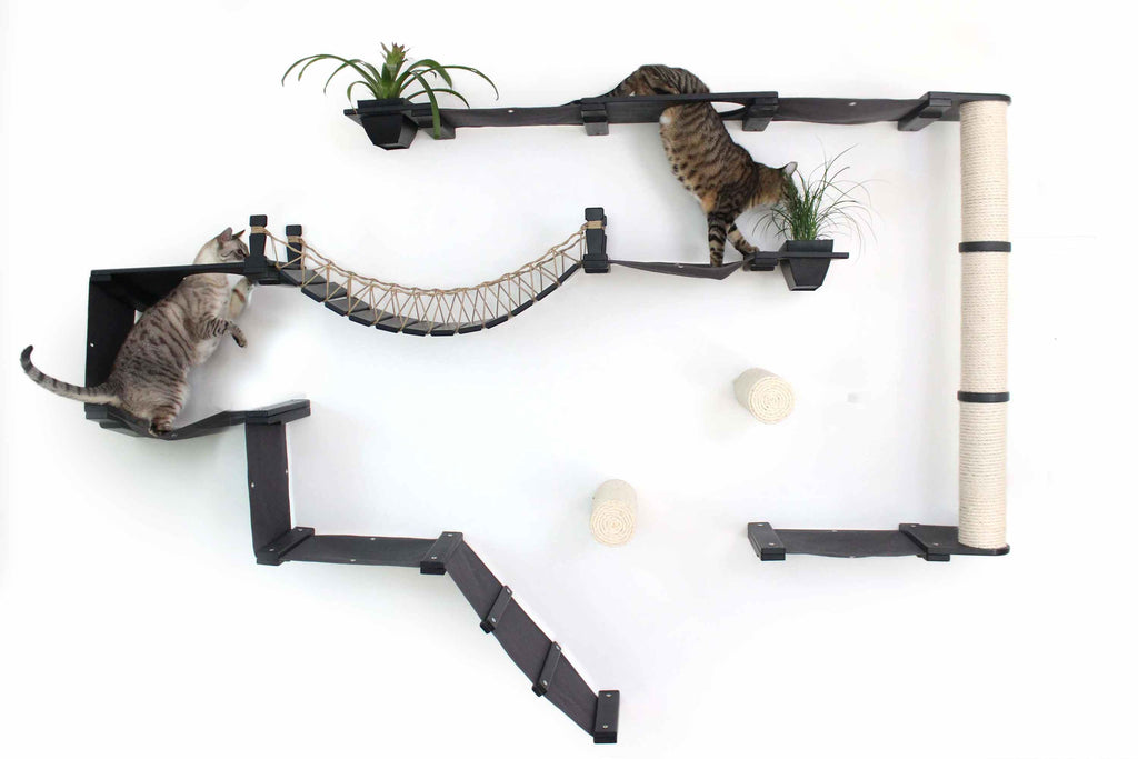 The Juggernaut - Indoor Cat Playground for Wall by Catastrophic Creations
