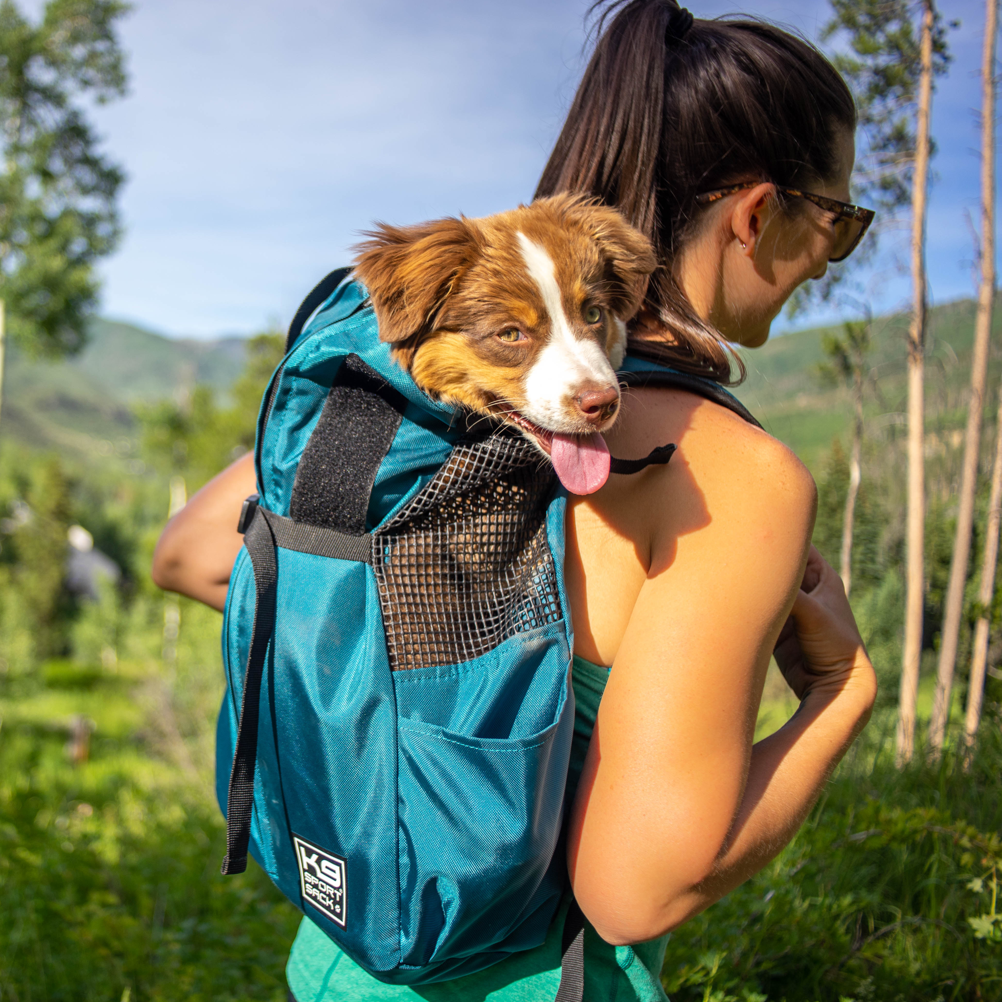 K9 Sportsack Trainer | Puppy & Small Dog Carrier