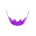 Pace Visor