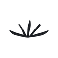Prime liner Blk