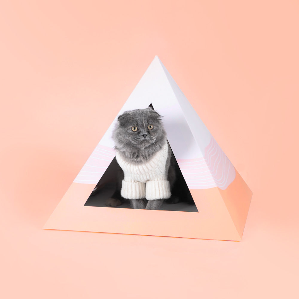 Kitty Kardboard® 'Wavey' Cat Pyramid