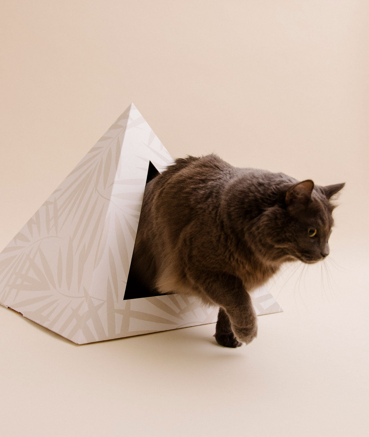 Kitty Kardboard® 'Neutral Palm' Cat Pyramid