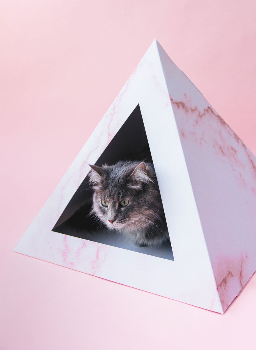 Kitty Kardboard 'Rose Quartz' Cat Pyramid