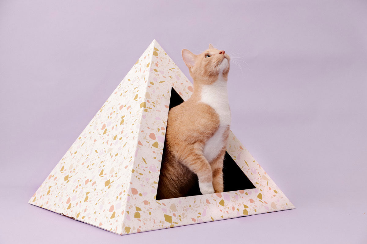 Kitty Kardboard® 'Terrazzo' Cat Pyramid