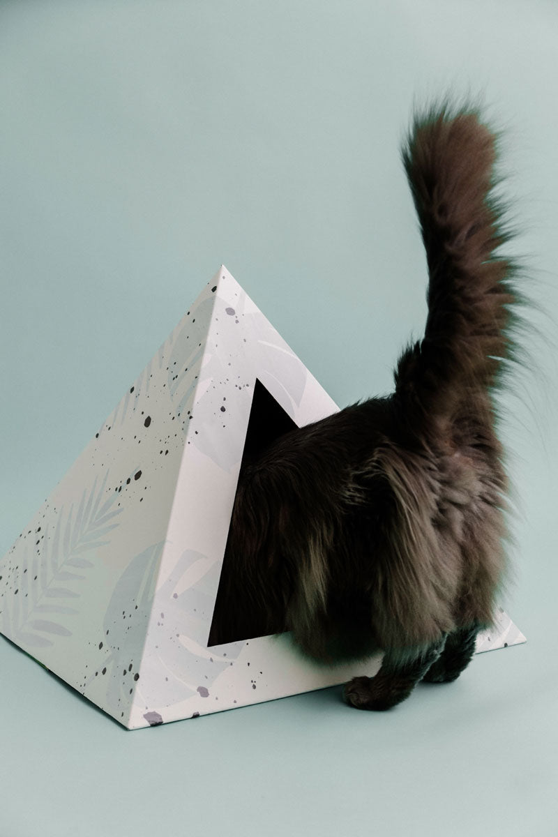 Kitty Kardboard® 'Oasis' Cat Pyramid