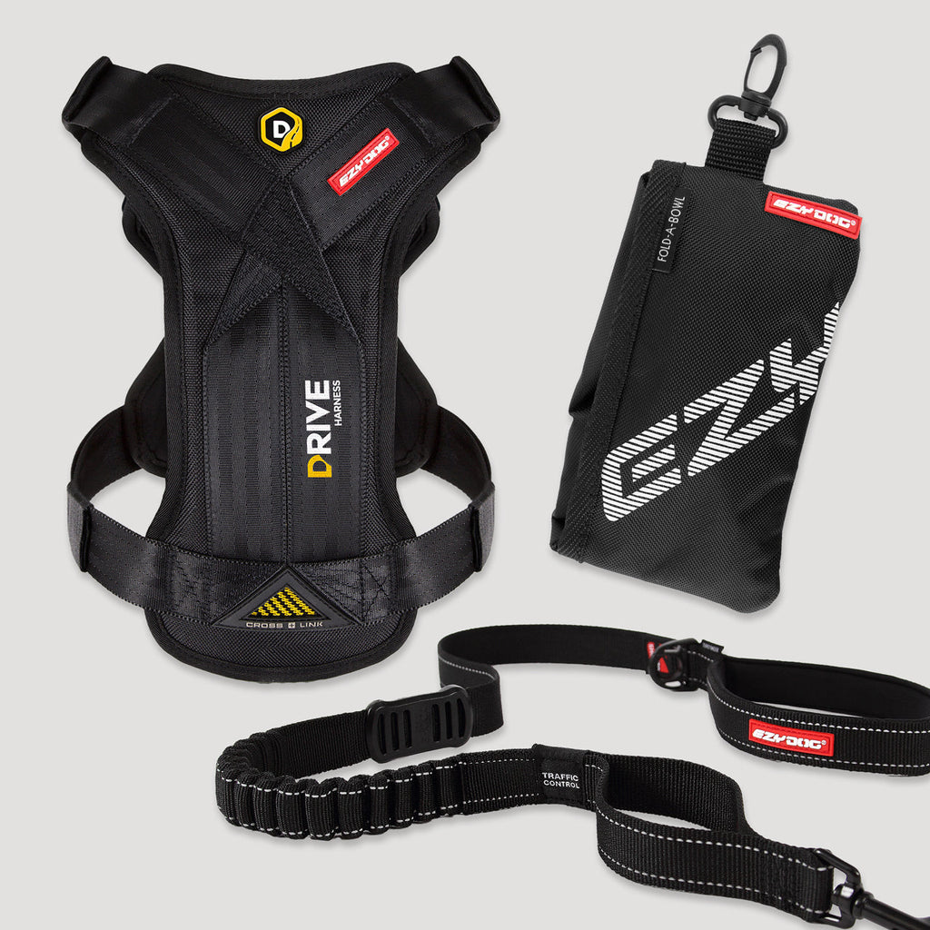 Let’s Go for a Ride Dog Travel Bundle