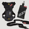 Let’s Go for a Ride Dog Travel Bundle