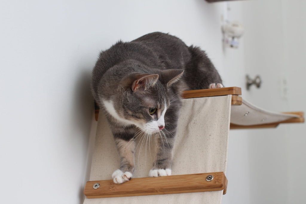 The Lift - Cat Hammock Bed by Catastrophic Creations