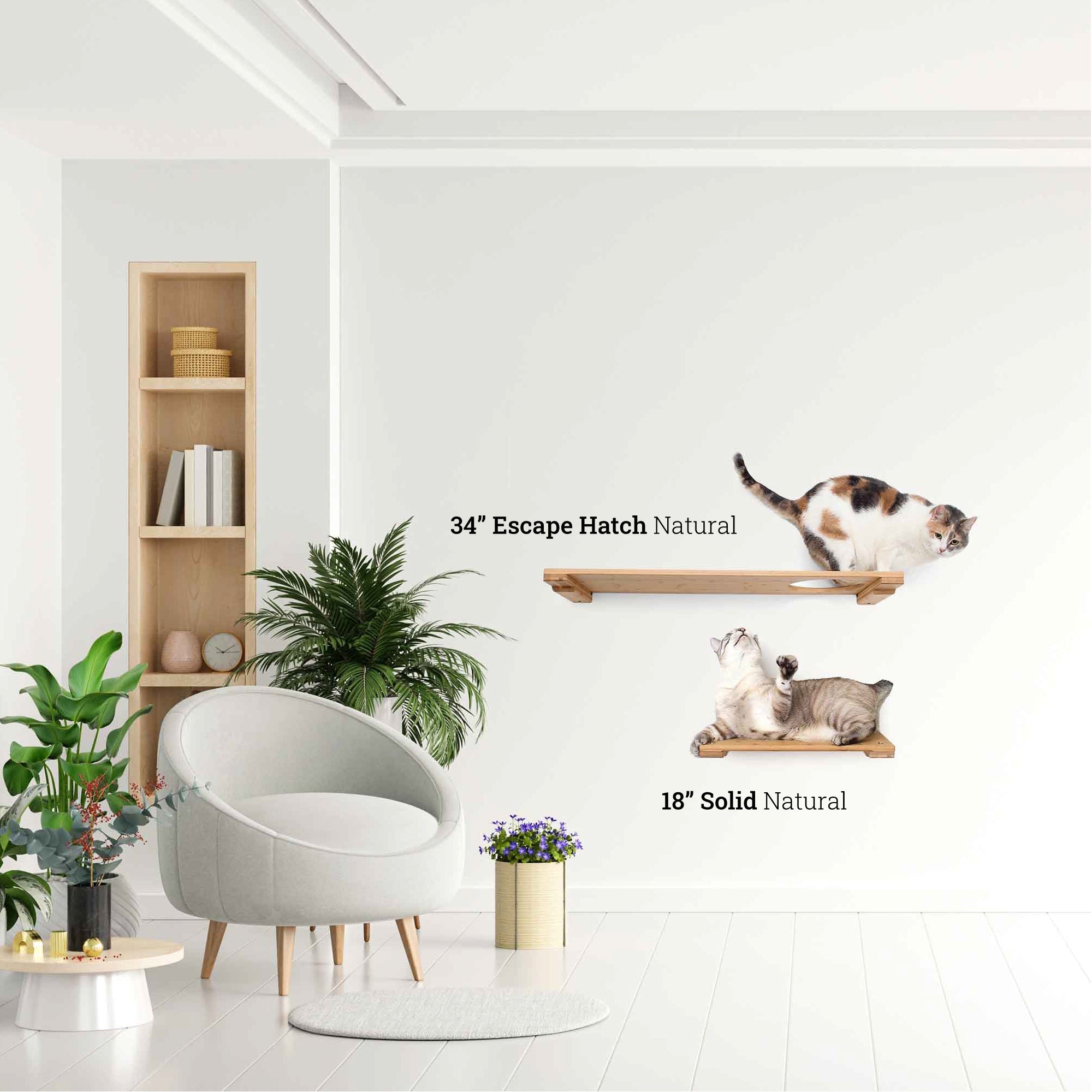 Catastrophic Creations Wall Mounted Cat Shelf
