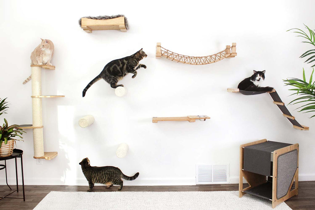 Catastrophic Creations Cat Bridge for Wall
