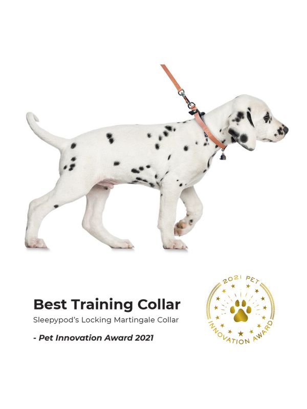 Sleepypod Locking Martingale Collar