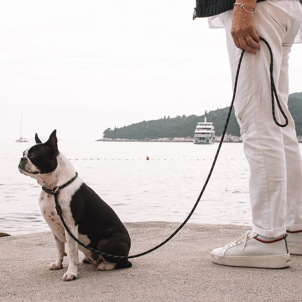 Luca™ Leash