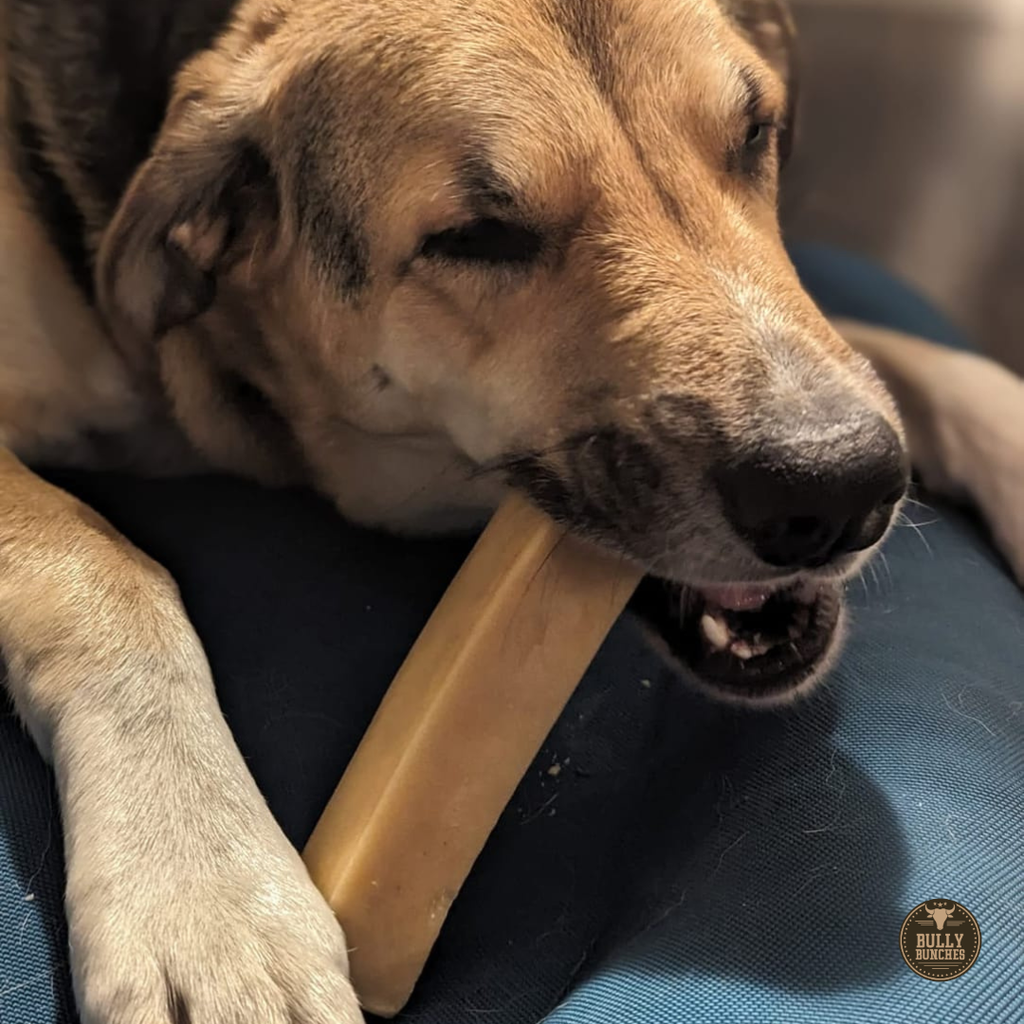 Bully Bunches Himalayan Yak Chew (MEGA)
