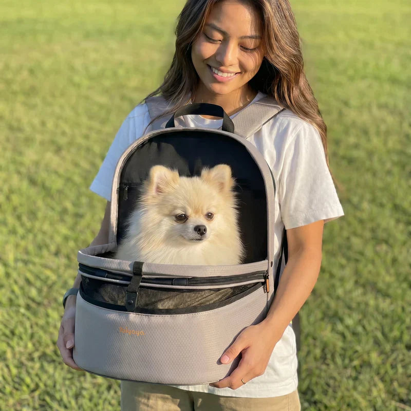 Ibiyaya Panorama Zipper-Free Small Pet Travel Carrier, Cat-Dog Chest Carrier, Airline-Approved Pet Backpack