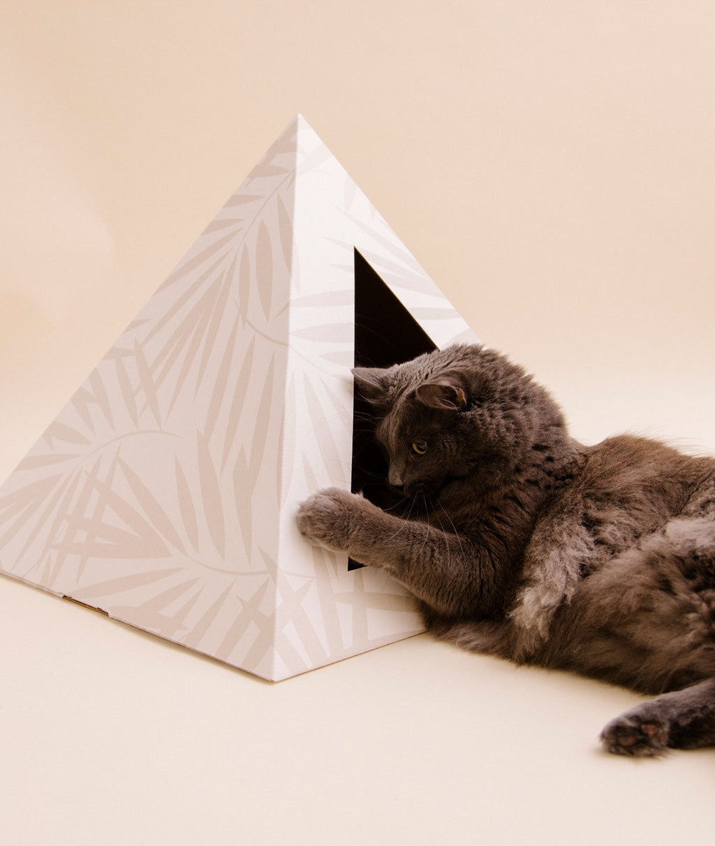 Kitty Kardboard® 'Neutral Palm' Cat Pyramid