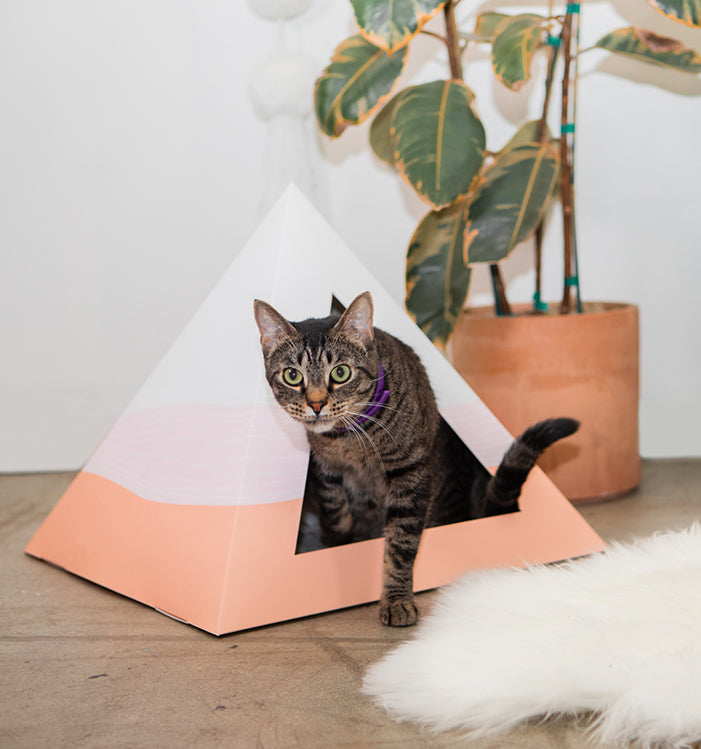 Kitty Kardboard® 'Wavey' Cat Pyramid