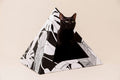 Kitty Kardboard® 'Dark Paradise' Cat Pyramid