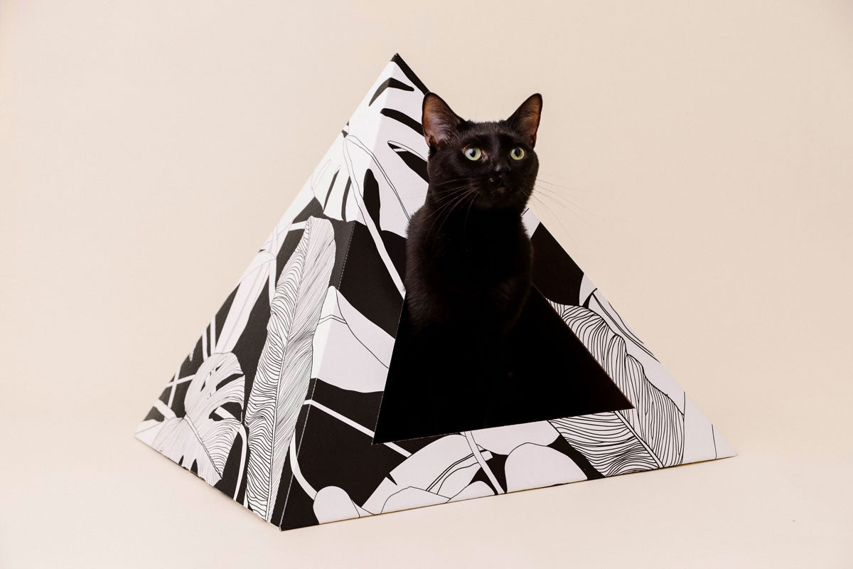 Kitty Kardboard® 'Dark Paradise' Cat Pyramid